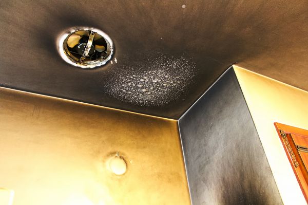Cost of Smoke Damage Removal in Orange Park
